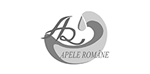 Apele Romane logo